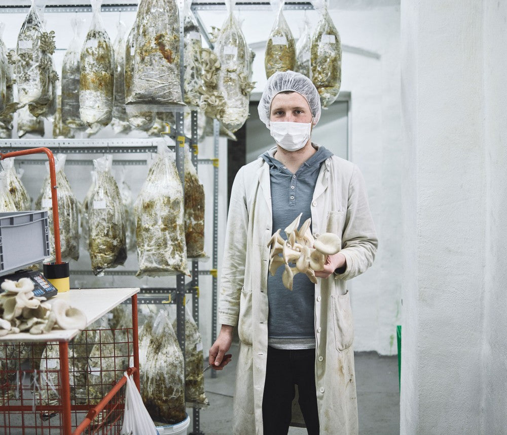 Hut & Stiel: inventive local production from Vienna