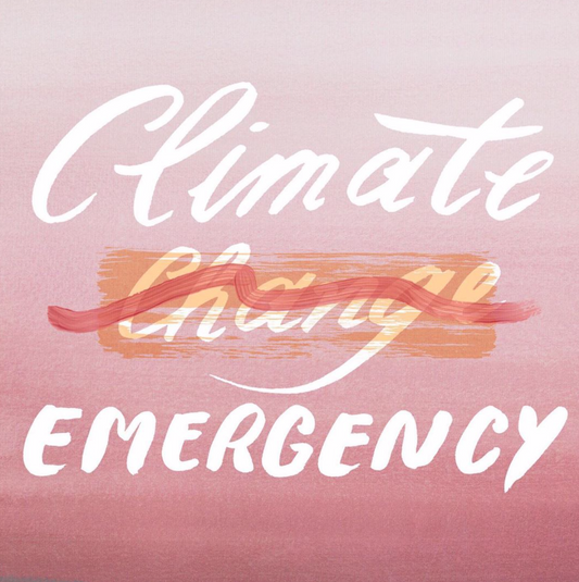 It’s a climate emergency: what do we do now?